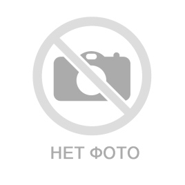Грибы Эноки